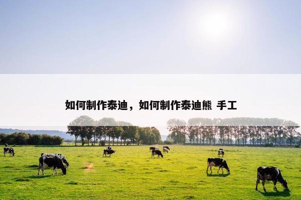 如何制作泰迪，如何制作泰迪熊 手工