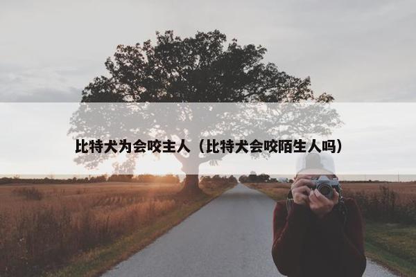 比特犬为会咬主人（比特犬会咬陌生人吗）