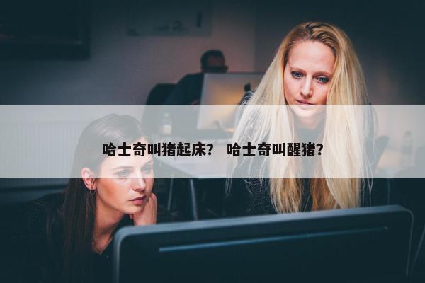 哈士奇叫猪起床？ 哈士奇叫醒猪？