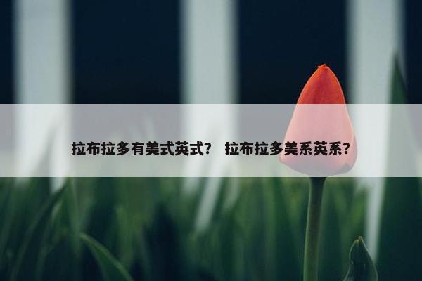 拉布拉多有美式英式？ 拉布拉多美系英系？
