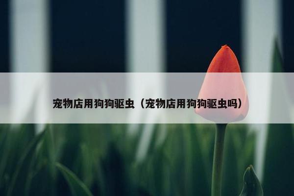 宠物店用狗狗驱虫（宠物店用狗狗驱虫吗）
