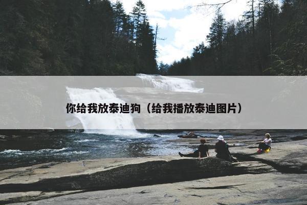 你给我放泰迪狗（给我播放泰迪图片）