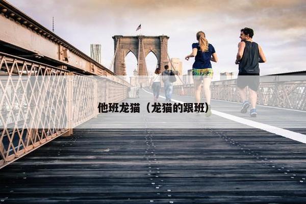 他班龙猫（龙猫的跟班）