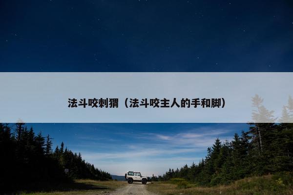 法斗咬刺猬（法斗咬主人的手和脚）