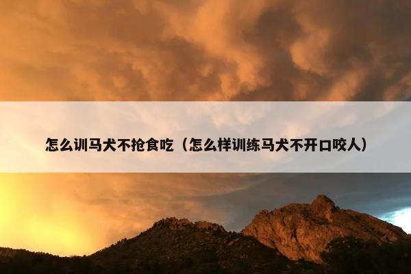 怎么训马犬不抢食吃（怎么样训练马犬不开口咬人）