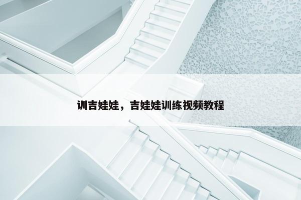 训吉娃娃，吉娃娃训练视频教程