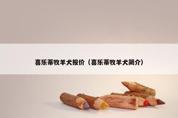 喜乐蒂牧羊犬报价（喜乐蒂牧羊犬简介）