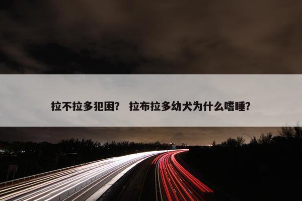 拉不拉多犯困？ 拉布拉多幼犬为什么嗜睡？