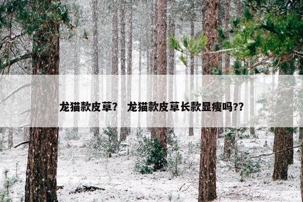 龙猫款皮草？ 龙猫款皮草长款显瘦吗?？