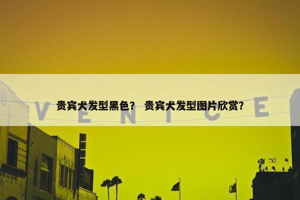 贵宾犬发型黑色？ 贵宾犬发型图片欣赏？