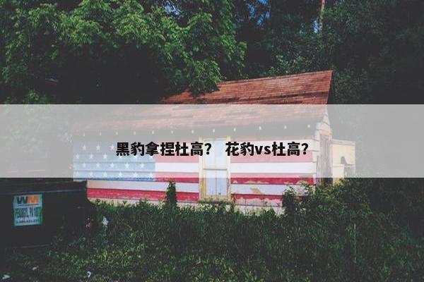 黑豹拿捏杜高？ 花豹vs杜高？