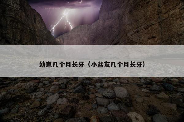 幼崽几个月长牙（小盆友几个月长牙）