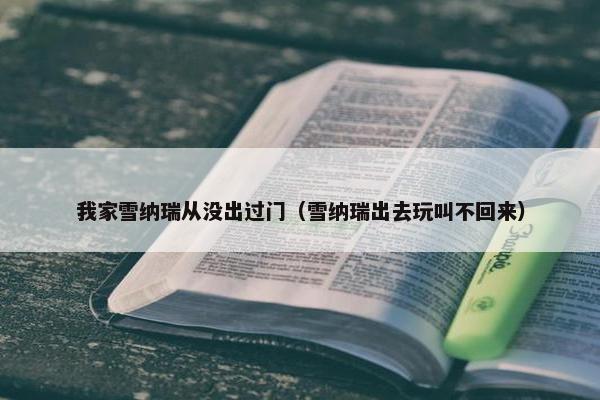 我家雪纳瑞从没出过门（雪纳瑞出去玩叫不回来）