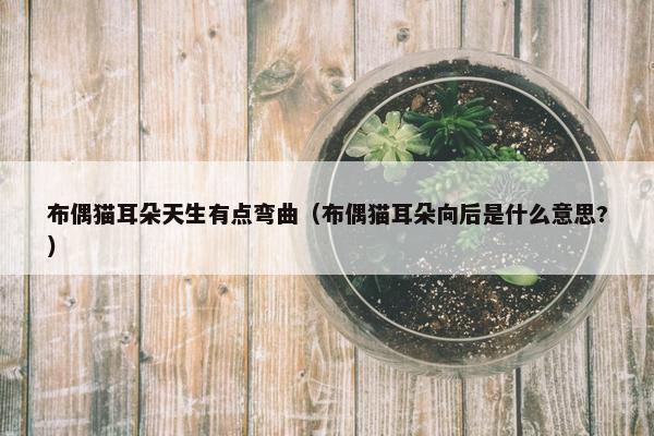 布偶猫耳朵天生有点弯曲（布偶猫耳朵向后是什么意思?）