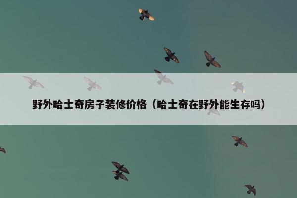 野外哈士奇房子装修价格（哈士奇在野外能生存吗）
