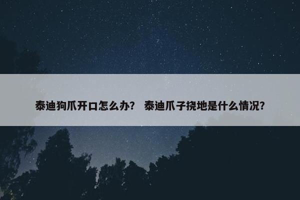泰迪狗爪开口怎么办？ 泰迪爪子挠地是什么情况？