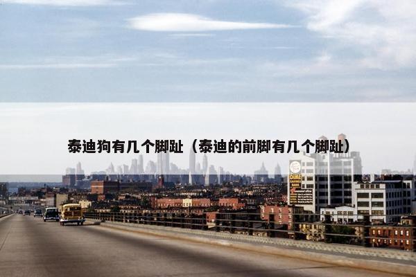 泰迪狗有几个脚趾（泰迪的前脚有几个脚趾）