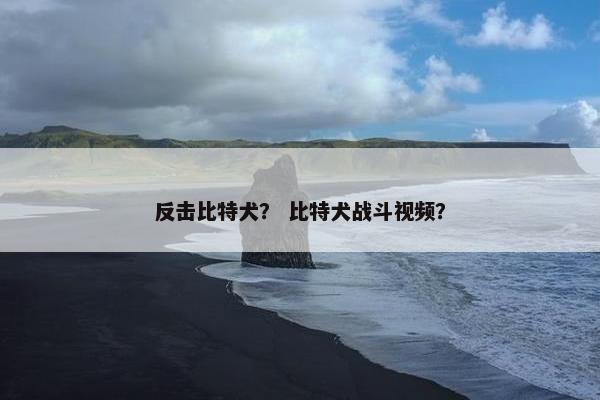 反击比特犬？ 比特犬战斗视频？