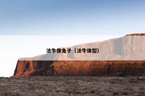法牛像兔子（法牛体型）