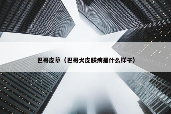 巴哥皮草（巴哥犬皮肤病是什么样子）