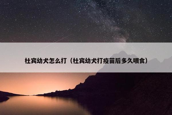 杜宾幼犬怎么打（杜宾幼犬打疫苗后多久喂食）