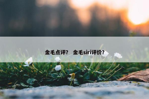 金毛点评？ 金毛siri评价？
