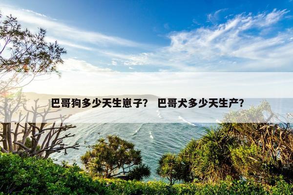 巴哥狗多少天生崽子？ 巴哥犬多少天生产？