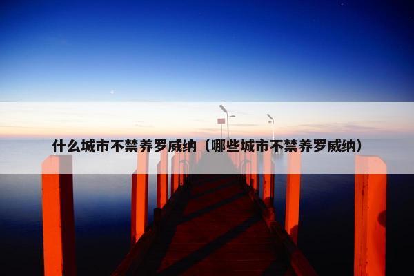 什么城市不禁养罗威纳（哪些城市不禁养罗威纳）