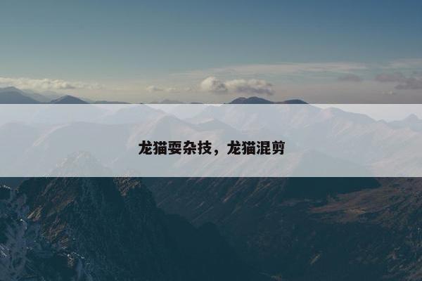 龙猫耍杂技，龙猫混剪