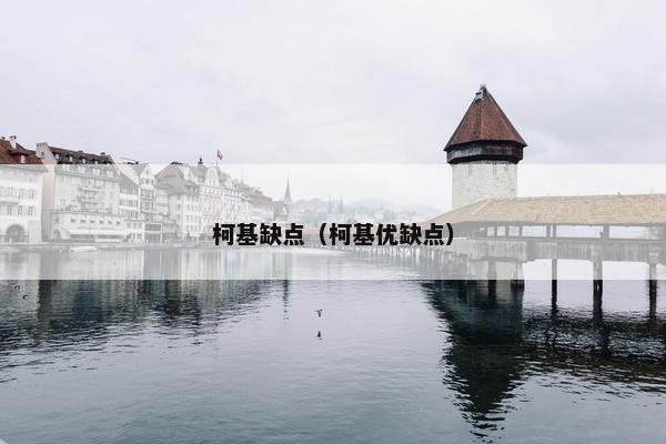 柯基缺点（柯基优缺点）