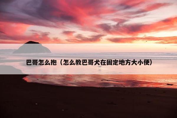 巴哥怎么抱（怎么教巴哥犬在固定地方大小便）