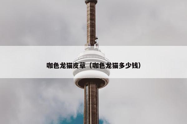 咖色龙猫皮草（咖色龙猫多少钱）