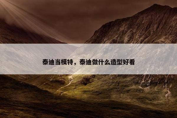 泰迪当模特，泰迪做什么造型好看