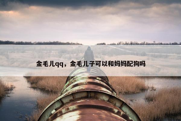 金毛儿qq，金毛儿子可以和妈妈配狗吗