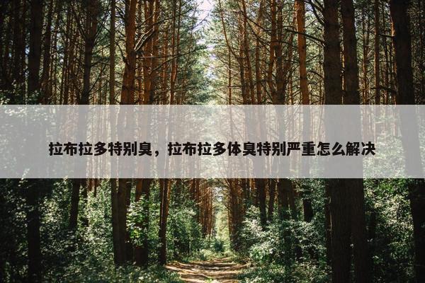 拉布拉多特别臭，拉布拉多体臭特别严重怎么解决