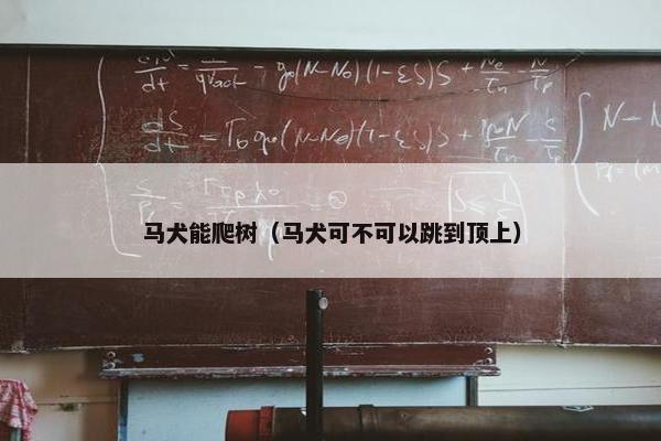 马犬能爬树（马犬可不可以跳到顶上）