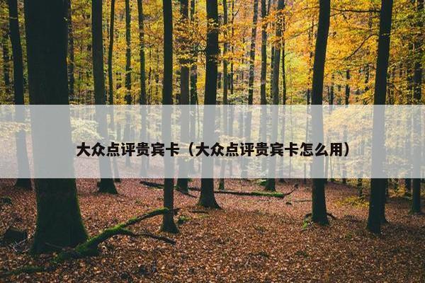 大众点评贵宾卡（大众点评贵宾卡怎么用）