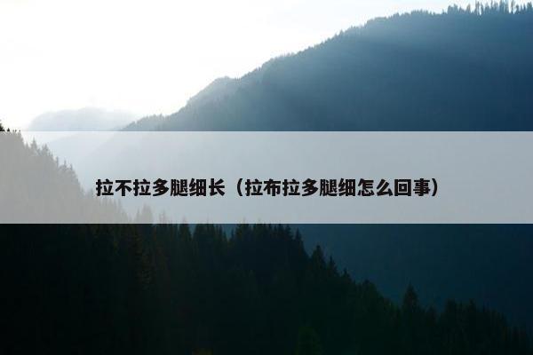 拉不拉多腿细长（拉布拉多腿细怎么回事）