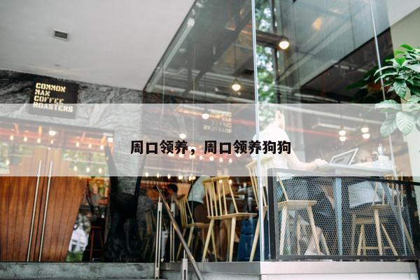 周口领养，周口领养狗狗