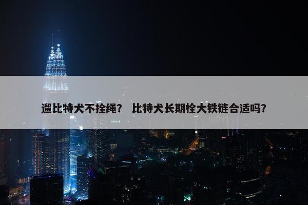 遛比特犬不拴绳？ 比特犬长期栓大铁链合适吗？