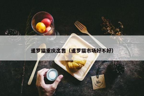 暹罗猫重庆出售（暹罗猫市场好不好）