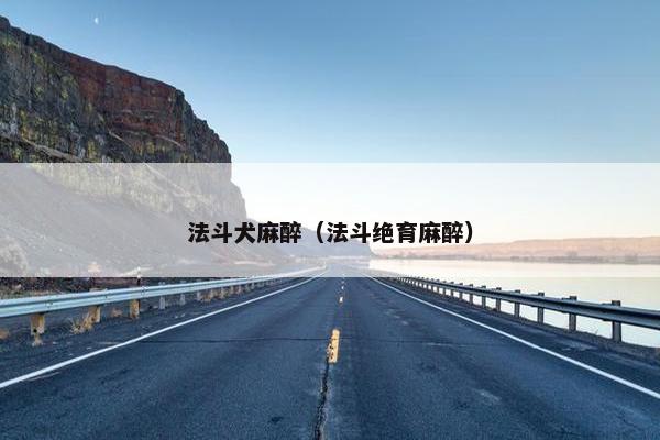 法斗犬麻醉（法斗绝育麻醉）