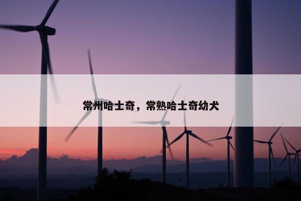 常州哈士奇，常熟哈士奇幼犬