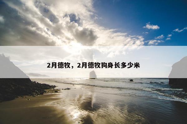 2月德牧，2月德牧狗身长多少米