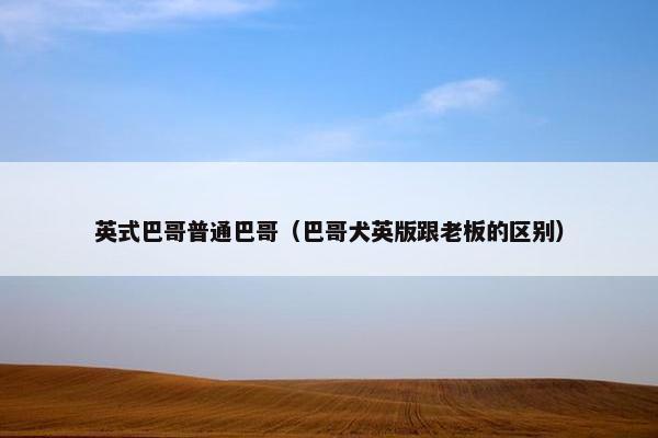 英式巴哥普通巴哥（巴哥犬英版跟老板的区别）