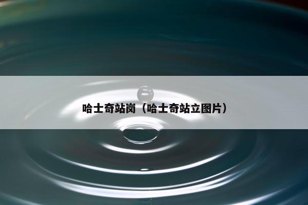 哈士奇站岗（哈士奇站立图片）