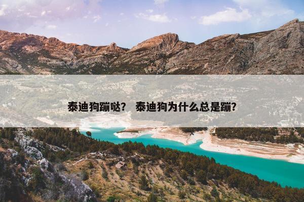 泰迪狗蹦哒？ 泰迪狗为什么总是蹦？