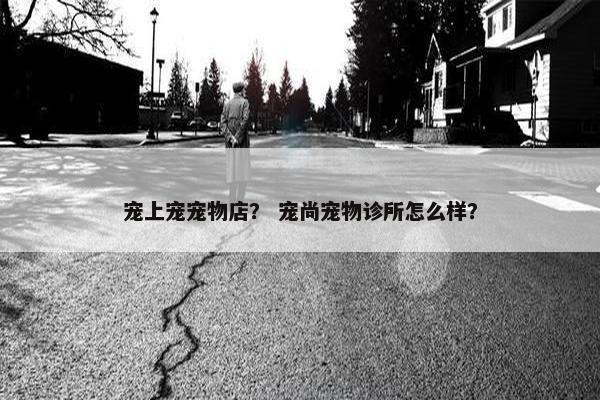 宠上宠宠物店？ 宠尚宠物诊所怎么样？