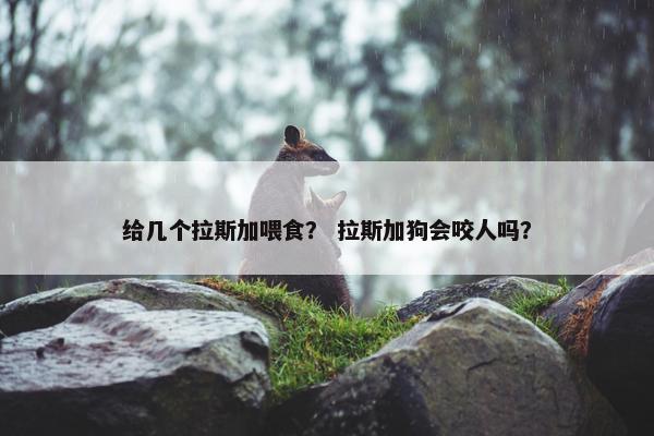 给几个拉斯加喂食？ 拉斯加狗会咬人吗？