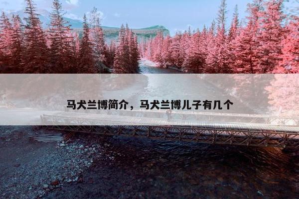 马犬兰博简介，马犬兰博儿子有几个